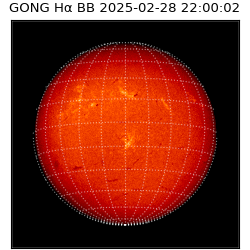 gong - 2025-02-28T22:00:02