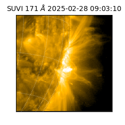 suvi - 2025-02-28T09:03:10.333000