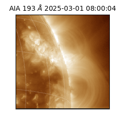 saia - 2025-03-01T08:00:04.843000