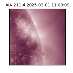 saia - 2025-03-01T11:00:09.626000