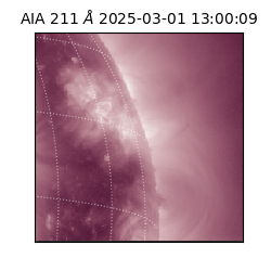 saia - 2025-03-01T13:00:09.632000