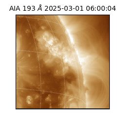 saia - 2025-03-01T06:00:04.836000