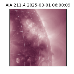 saia - 2025-03-01T06:00:09.622000