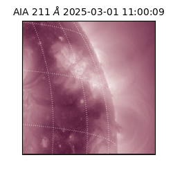 saia - 2025-03-01T11:00:09.626000