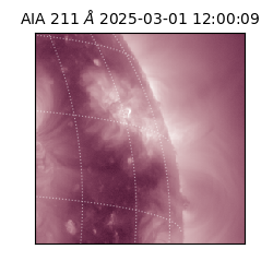 saia - 2025-03-01T12:00:09.626000