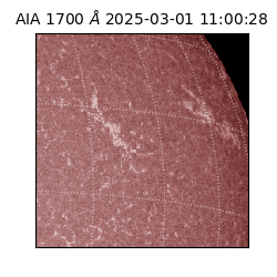 saia - 2025-03-01T11:00:28.717000