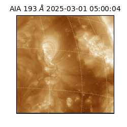 saia - 2025-03-01T05:00:04.843000