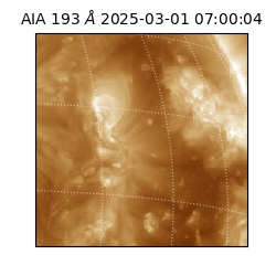 saia - 2025-03-01T07:00:04.847000