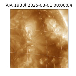 saia - 2025-03-01T08:00:04.843000