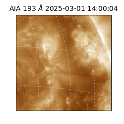 saia - 2025-03-01T14:00:04.843000