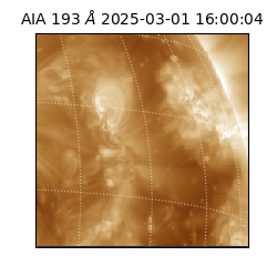 saia - 2025-03-01T16:00:04.843000