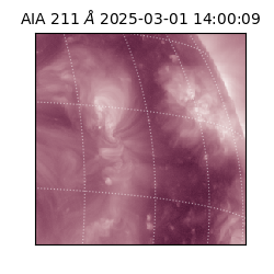 saia - 2025-03-01T14:00:09.625000