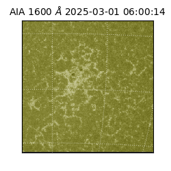 saia - 2025-03-01T06:00:14.118000