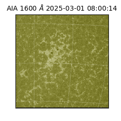 saia - 2025-03-01T08:00:14.125000