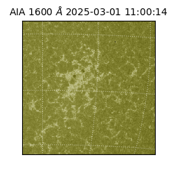 saia - 2025-03-01T11:00:14.129000