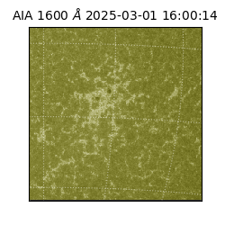 saia - 2025-03-01T16:00:14.125000