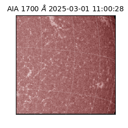 saia - 2025-03-01T11:00:28.717000