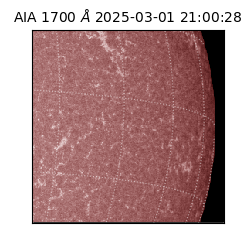 saia - 2025-03-01T21:00:28.717000