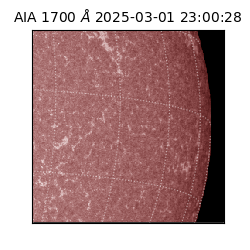 saia - 2025-03-01T23:00:28.717000