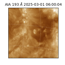 saia - 2025-03-01T06:00:04.836000