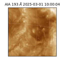 saia - 2025-03-01T10:00:04.843000
