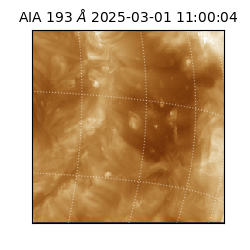 saia - 2025-03-01T11:00:04.843000