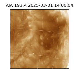 saia - 2025-03-01T14:00:04.843000