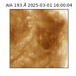 saia - 2025-03-01T16:00:04.843000