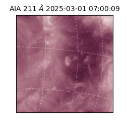 saia - 2025-03-01T07:00:09.626000