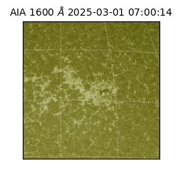 saia - 2025-03-01T07:00:14.126000