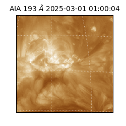 saia - 2025-03-01T01:00:04.843000