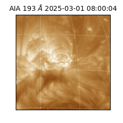 saia - 2025-03-01T08:00:04.843000