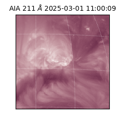 saia - 2025-03-01T11:00:09.626000