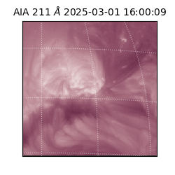 saia - 2025-03-01T16:00:09.626000