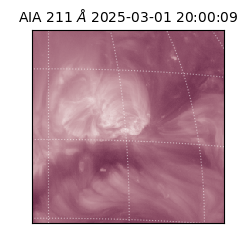 saia - 2025-03-01T20:00:09.626000