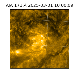 saia - 2025-03-01T10:00:09.350000