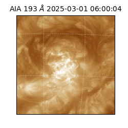 saia - 2025-03-01T06:00:04.836000