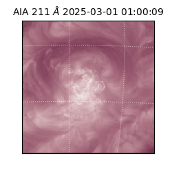 saia - 2025-03-01T01:00:09.639000