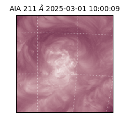 saia - 2025-03-01T10:00:09.630000