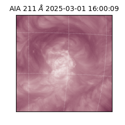 saia - 2025-03-01T16:00:09.626000