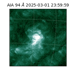 saia - 2025-03-01T23:59:59.115000