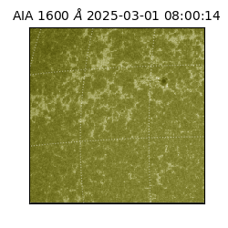 saia - 2025-03-01T08:00:14.125000