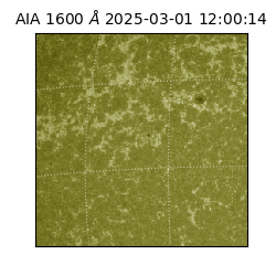 saia - 2025-03-01T12:00:14.126000