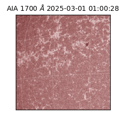 saia - 2025-03-01T01:00:28.717000