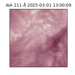 saia - 2025-03-01T13:00:09.632000