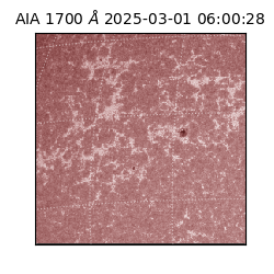 saia - 2025-03-01T06:00:28.717000