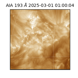 saia - 2025-03-01T01:00:04.843000