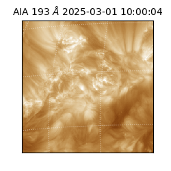 saia - 2025-03-01T10:00:04.843000
