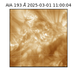saia - 2025-03-01T11:00:04.843000