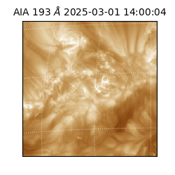 saia - 2025-03-01T14:00:04.843000